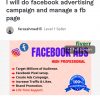I will do facebook advertising campaign and manage a fb page