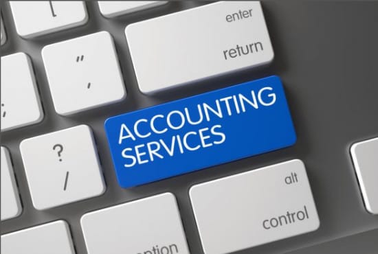 I will provide audit, accounting and bookkeeping services